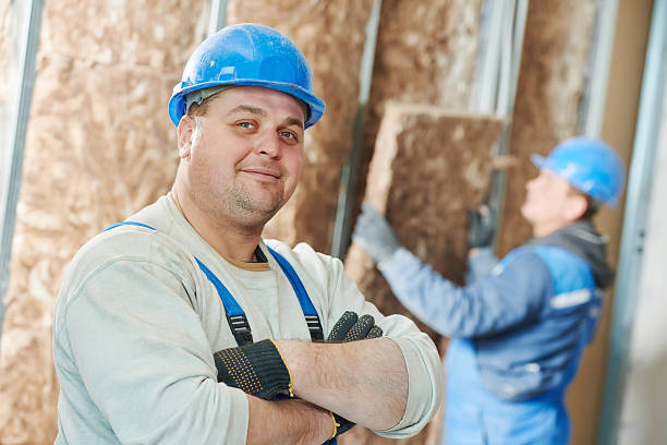 Best Insulation Maintenance and Repair in Mineral Wells, TX